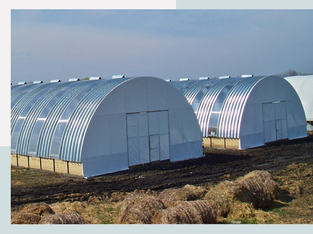 Сельскохозяйственные здания в Боровичах