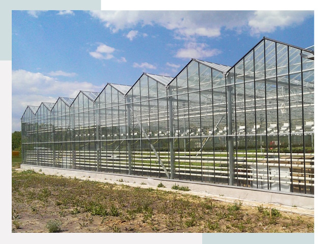 Строительство теплиц в Боровичи от 625 руб. за м²