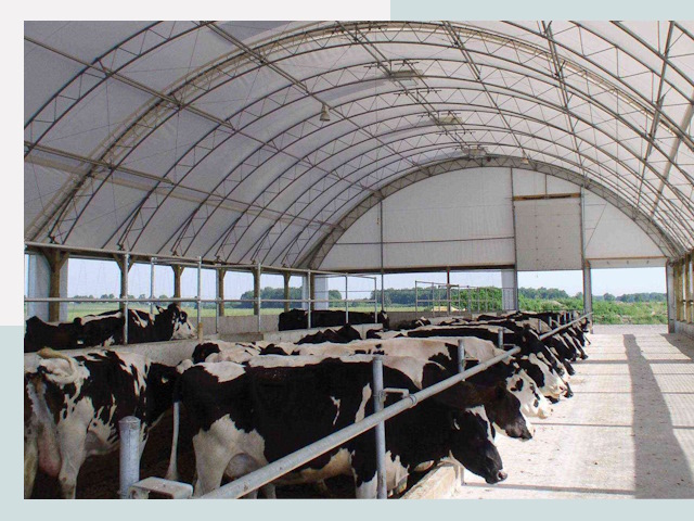 Тентовые коровники в Боровичах